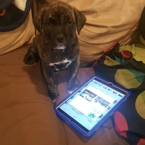 Meet your Posher, Debra